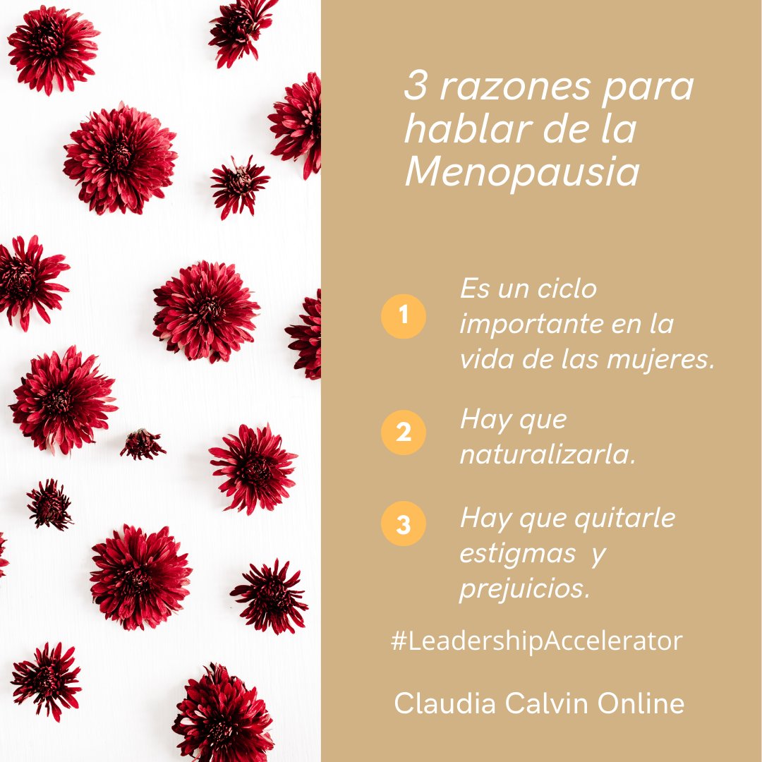 LaClau's tweet photo. 3 razones para hablar de la #Menopausia#mujeres #ciclos #autoempoderamiento ¿Quieres encontrar más razones? Aquí la info: https://t.co/7GqXlY3nBn
@PatyOlamendi @Fer_SalazarM @flaviafrei @AdrianaIrisFG @Adri_EC4 @alejandrasotoa @licalelibenson https://t.co/i3cw9NjShm