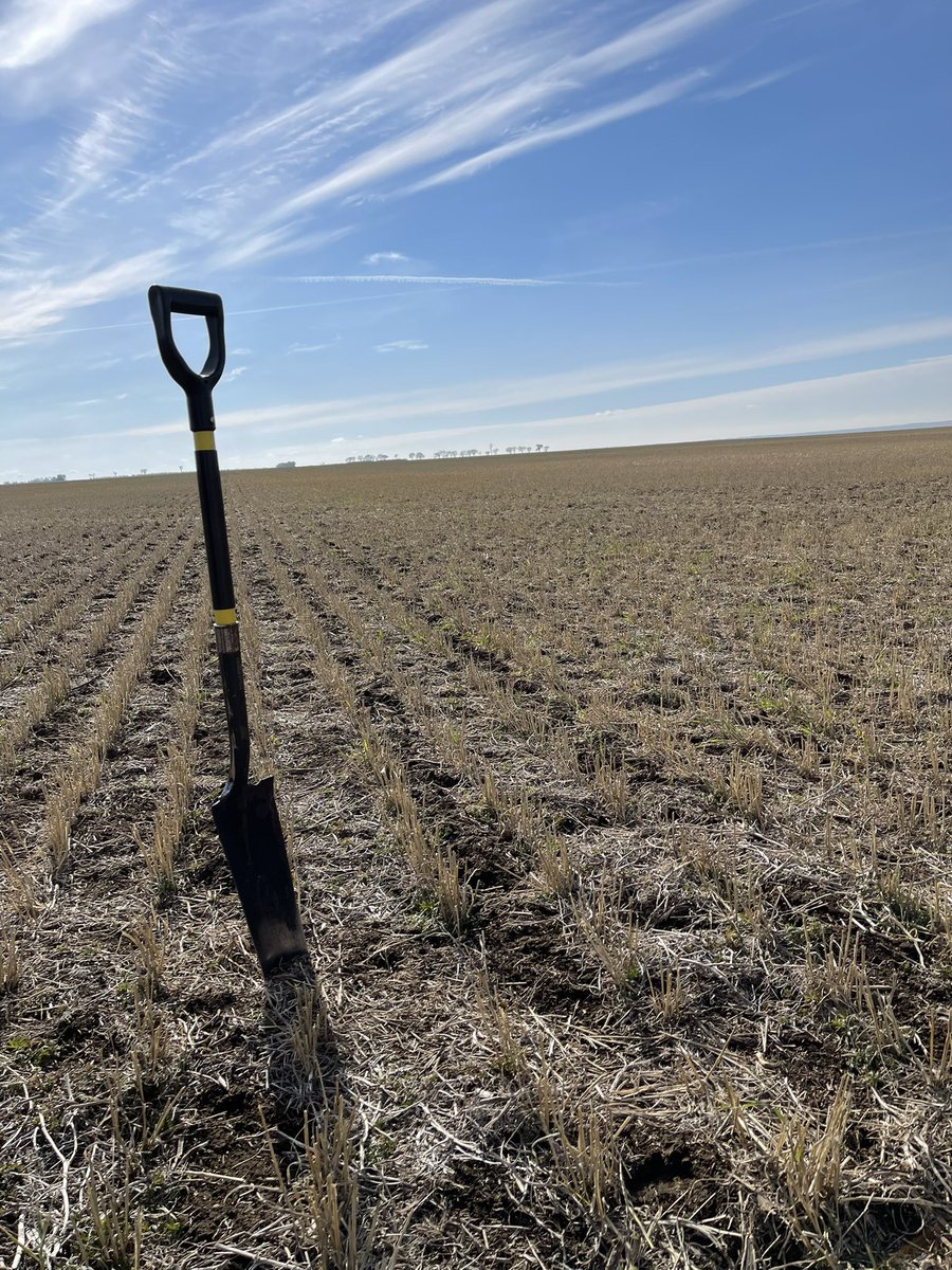 Nice to have had a bit of rain to at least settle the dust! <a href="/westernagNWSK/">WesternAg North West Sask.</a>