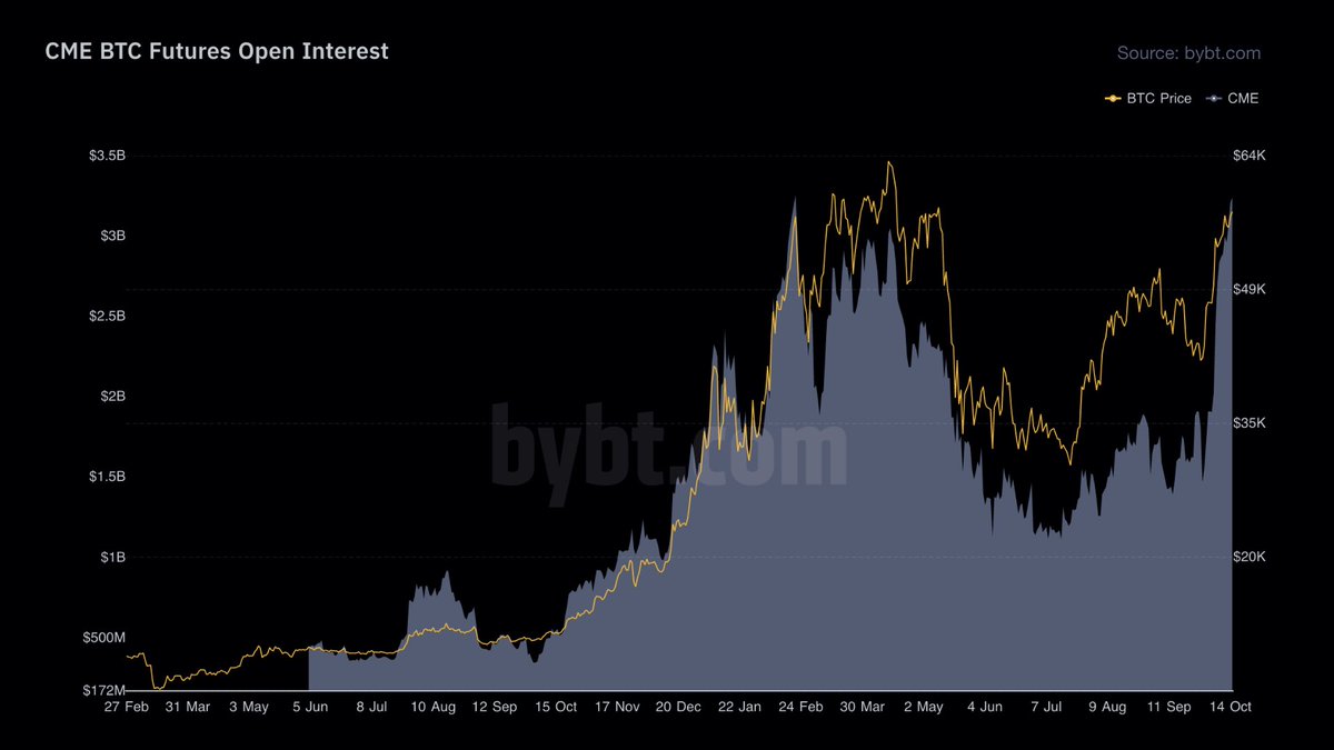 Bloqport Insights tweet media