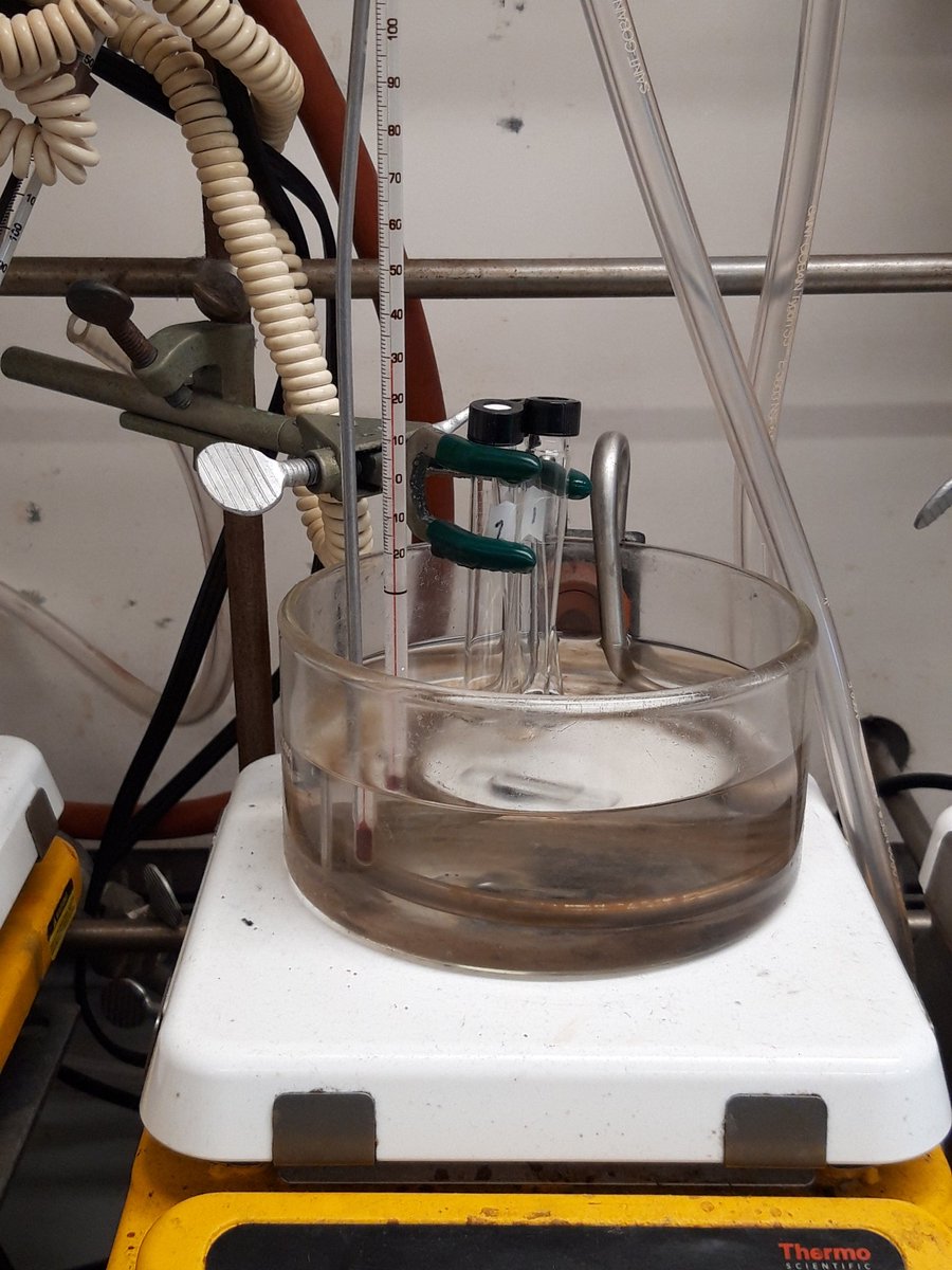 After finishing lab work for my PhD two months ago, it was really nice to be back in the lab today doing my first set of reactions as a postdoc 👩‍🔬