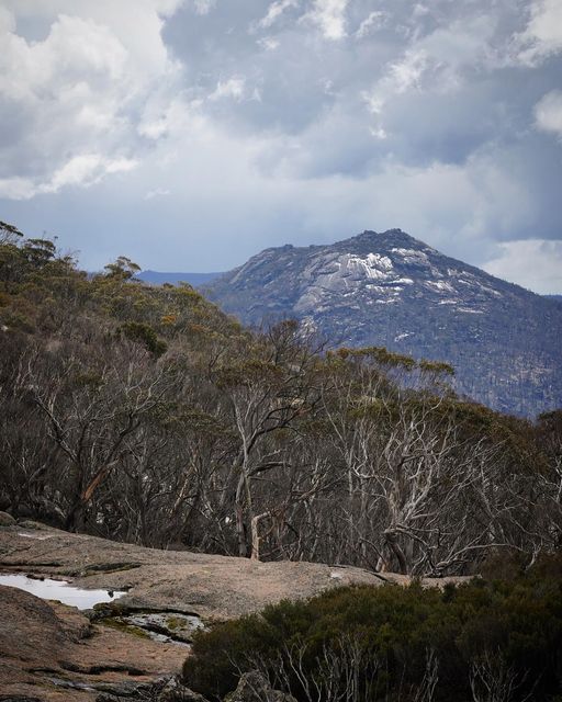 Mt Gudgenby as seen from the Sentry Box on a moody day (S De Montis).  Where will you go walking this weekend?

#lockdowneasing #WeekendMood #Namadgi #bushwalking #Canberra #hikingadventures #nationalparks #weekend #CBR