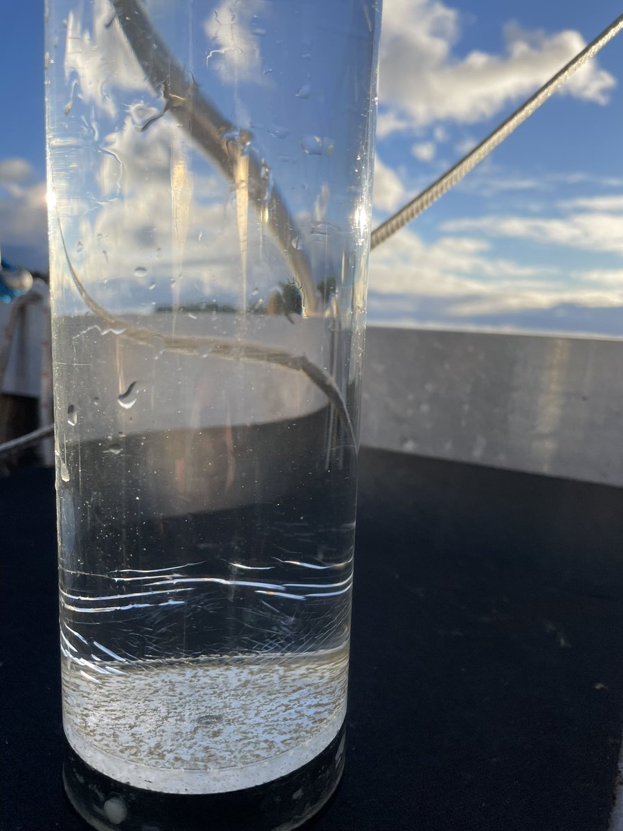 Aleksandra Lewandowska (@planktola) on Twitter photo How much carbon is sequestered by phytoplankton? Today with @uthtutgut we are looking into the sediment traps to find out. More coming soon from #CoastClim <a href="/Tvarminne/">Tvärminne Zoological Station</a> <a href="/helsinkiuni/">University of Helsinki</a> How much carbon is sequestered by phytoplankton? Today with @uthtutgut we are looking into the sediment traps to find out. More coming soon from #CoastClim <a href="/Tvarminne/">Tvärminne Zoological Station</a> <a href="/helsinkiuni/">University of Helsinki</a>