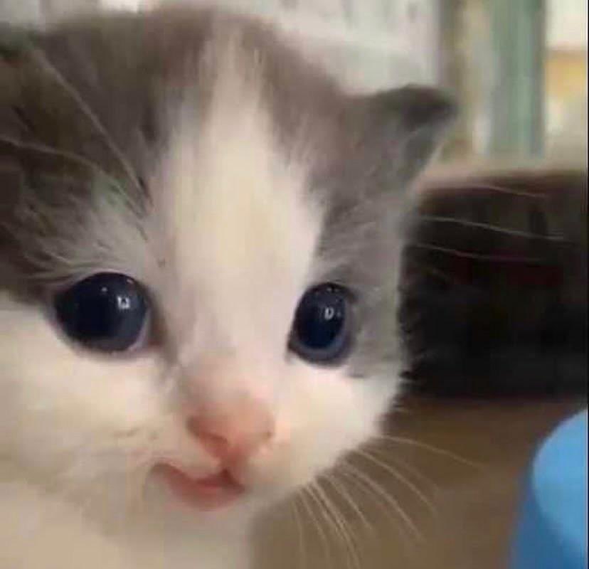 ah-ah (@imbaby_ah) on Twitter photo 