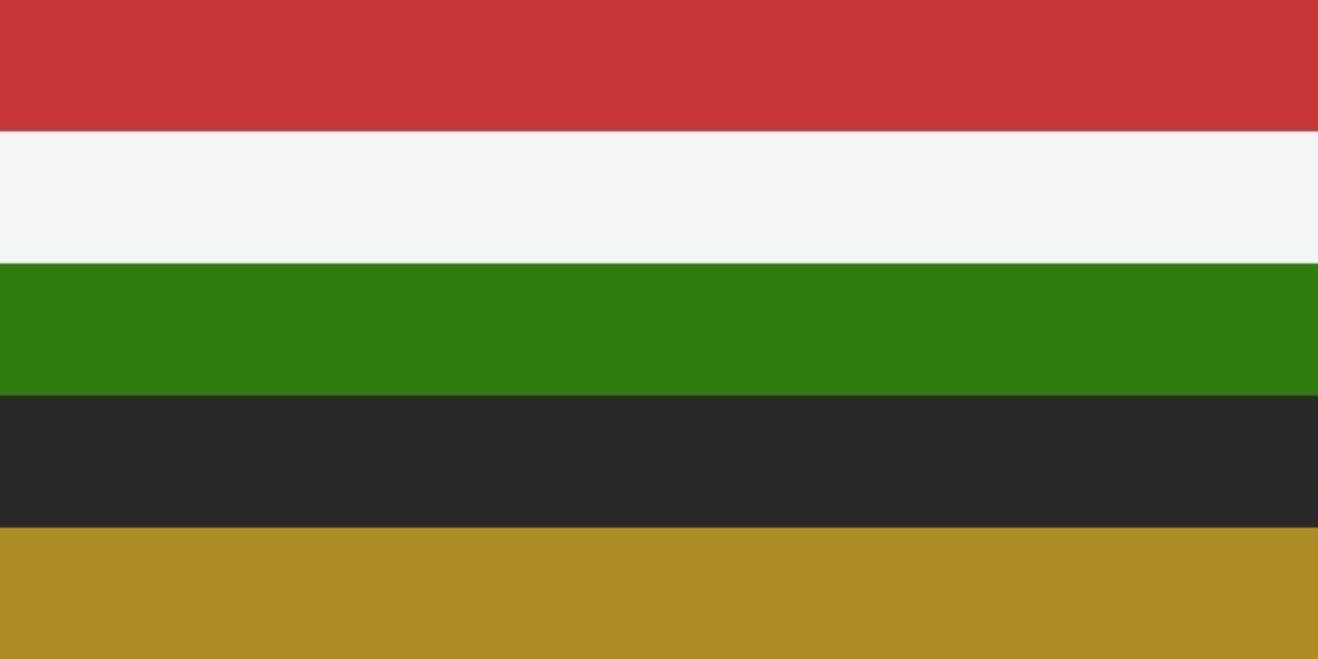 book pride flags ! tweet media