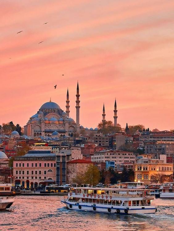 JustNaz7's tweet photo. Turkey. Who's in? https://t.co/AypyEVLZ0y