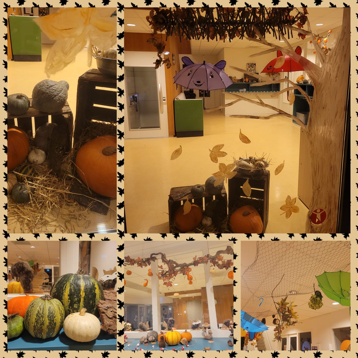 cbsdevaart's tweet image. Het decoteam heeft de school weer prachtig versierd! Met dank aan Mts Boerma  voor de kalebassen en pompoenen. #herfst #deco