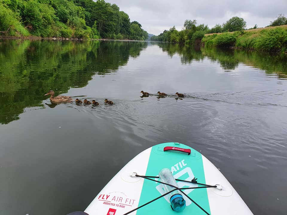 Book your #outdooradventure with us before 31st Dec 21 to get your 2022 activities at 2021 prices! 

Ideal for time out, getting together or as a present :)

Visit our website for gift vouchers, pricing and to book

#Canoeing #Kayaking #StandUpPaddleboarding #SUP #GorgeWalking