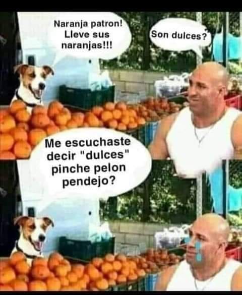 Korpus Mortem (@korpus_mortem) on Twitter photo 