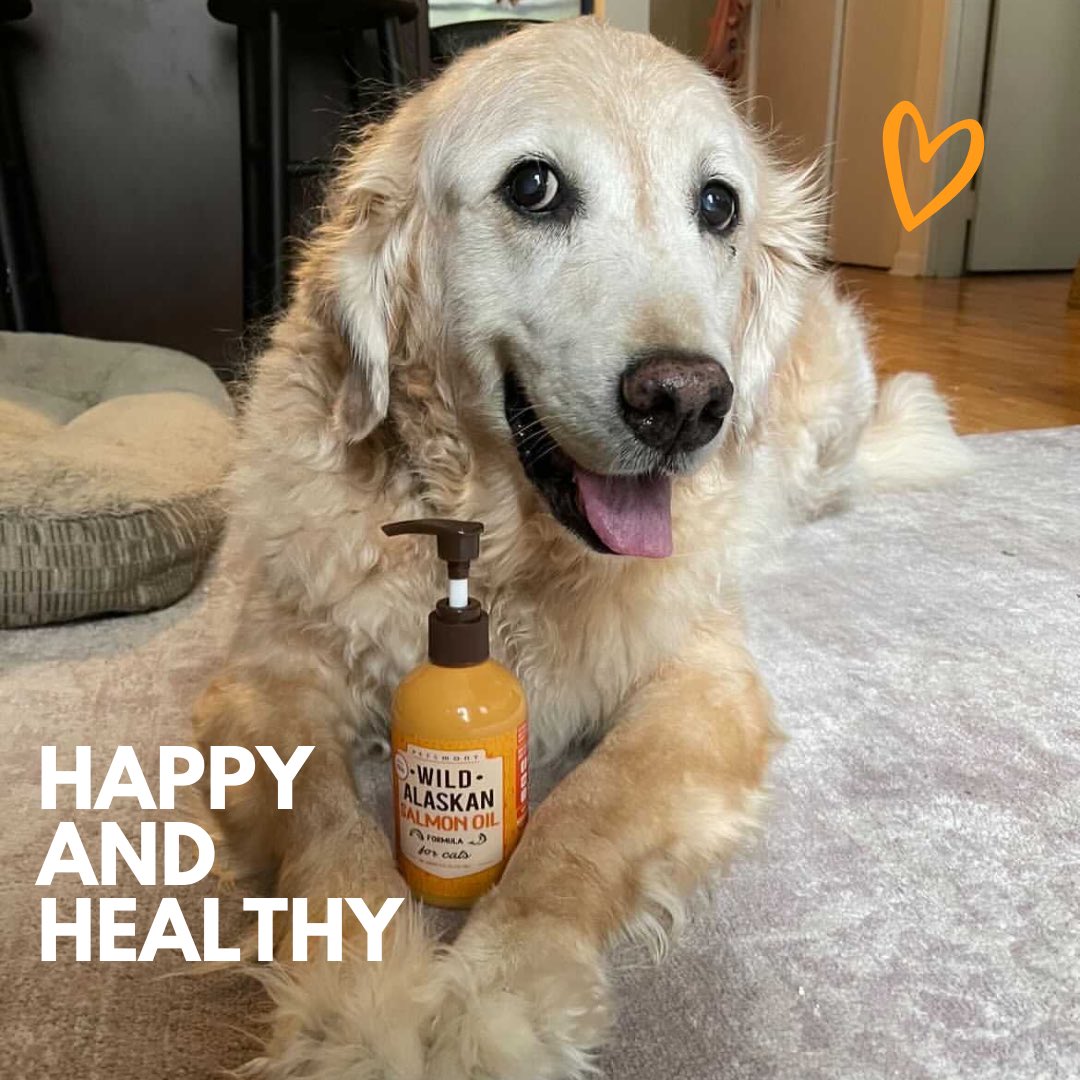 Gotta keep our furry friends happy &amp; healthy!🌟🐶