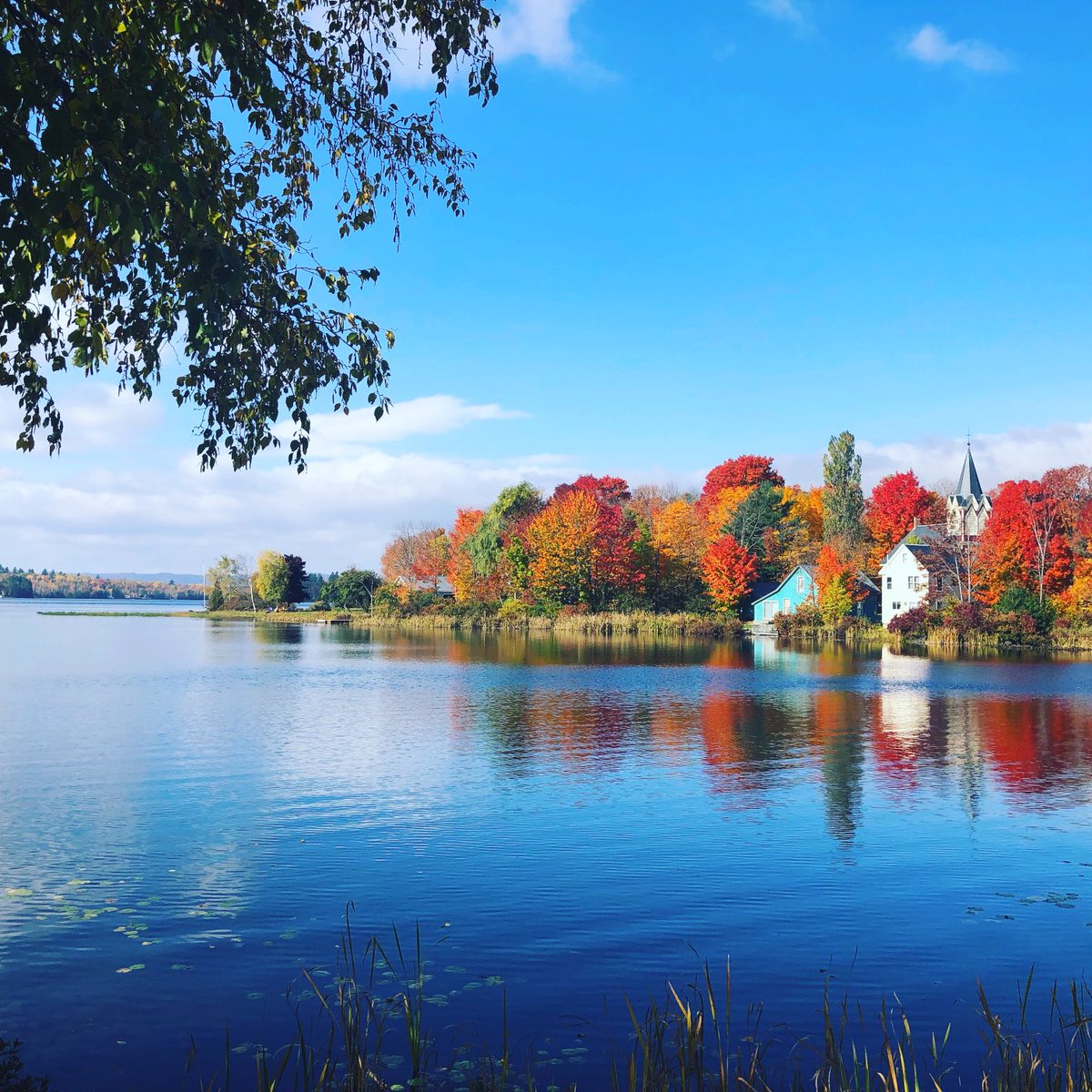 MelissainJax's tweet photo. Current view. #Maine #autumn #fallfoliage #NewEngland #lakehebron #visitmaine https://t.co/8eY1Vub6PT
