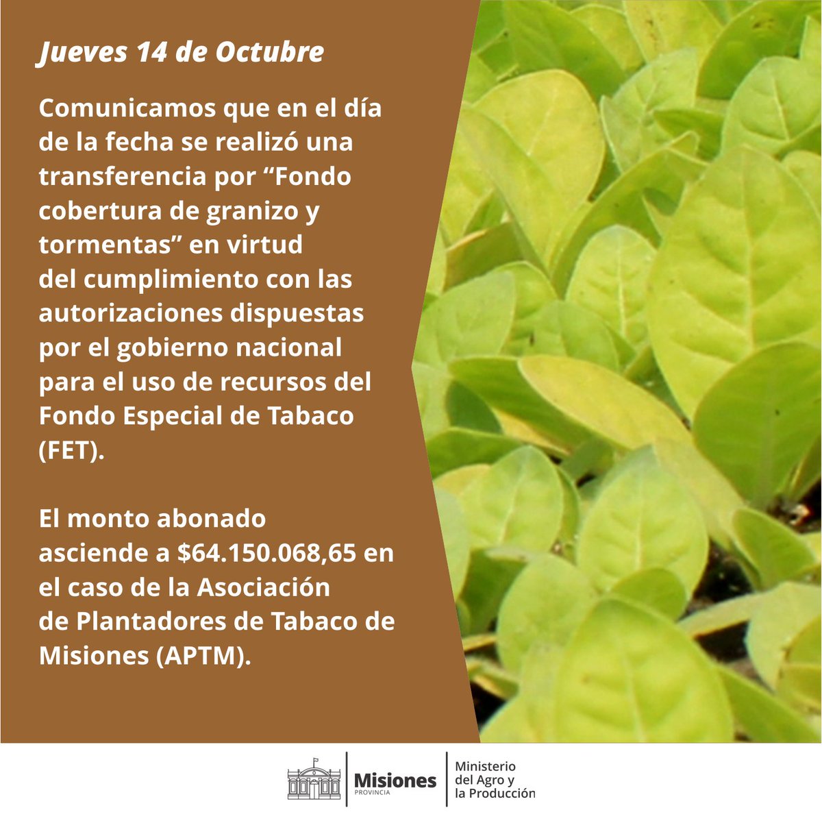 Comunicamos que en el día de la fecha se realizó una transferencia por “Fondo cobertura de granizo y tormentas” en virtud del cumplimiento con las autorizaciones dispuestas por el gobierno nacional para el uso de recursos del Fondo Especial de Tabaco (FET).