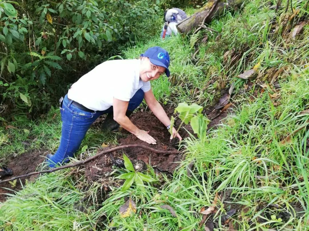 aguasmzl's tweet photo. En la celebración del día mundial del árbol nos unimos con @CiudadManizales
@Corpocaldas @ANDI_Colombia
@Vivo_Cuenca #progel #Coprosan #Celema para realizar una sembraton con el objetivo de sembrar vida y llevar a todos los manizaleños un mensaje de cuidado del medio ambiente. https://t.co/bEBqmLkQXI