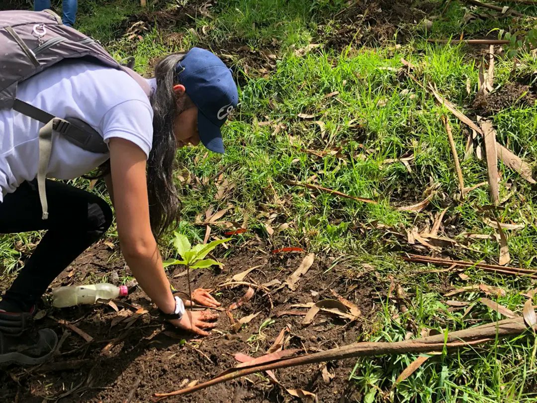 aguasmzl's tweet photo. En la celebración del día mundial del árbol nos unimos con @CiudadManizales
@Corpocaldas @ANDI_Colombia
@Vivo_Cuenca #progel #Coprosan #Celema para realizar una sembraton con el objetivo de sembrar vida y llevar a todos los manizaleños un mensaje de cuidado del medio ambiente. https://t.co/bEBqmLkQXI
