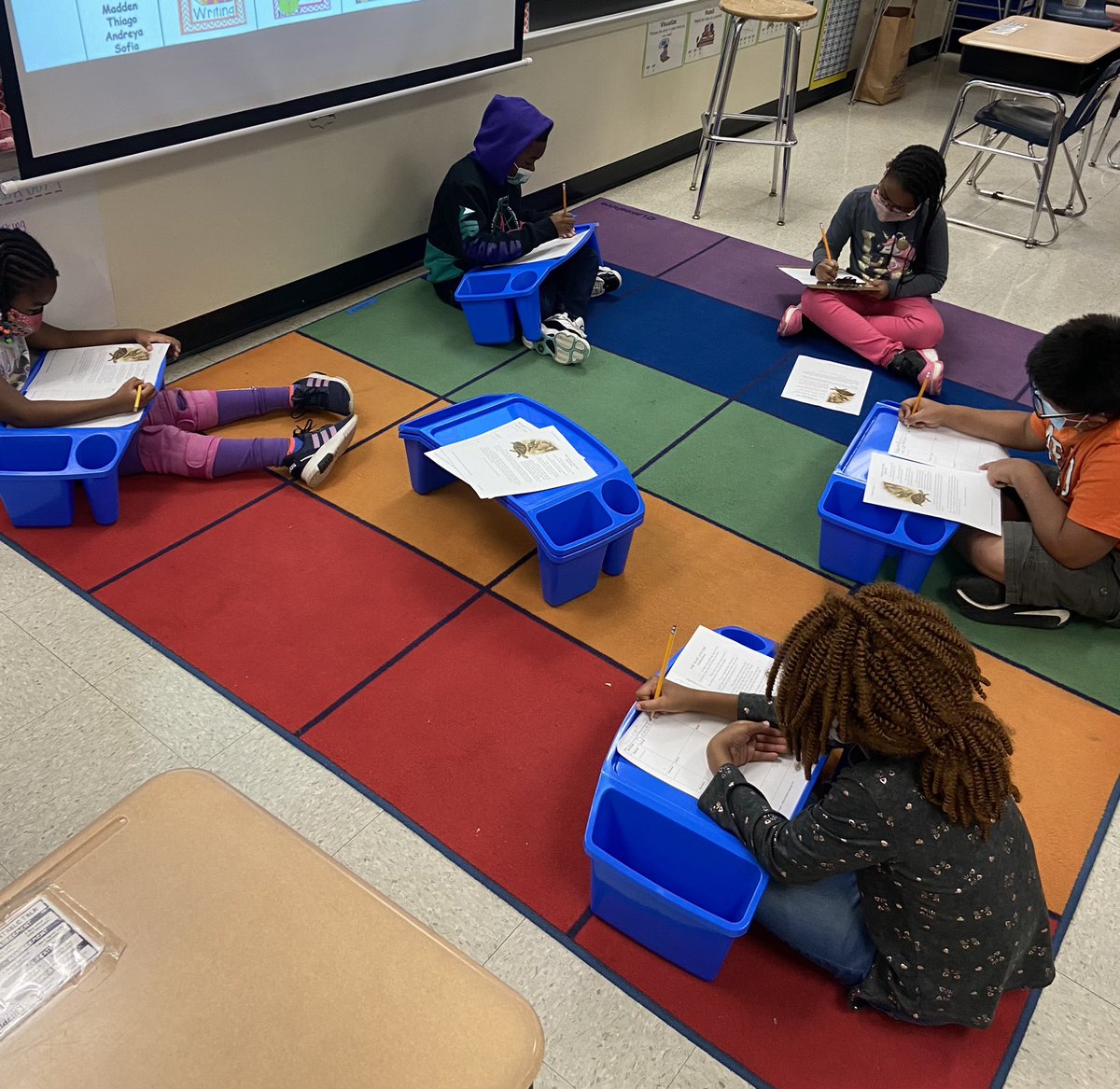 Alaleh Sadri tweet media