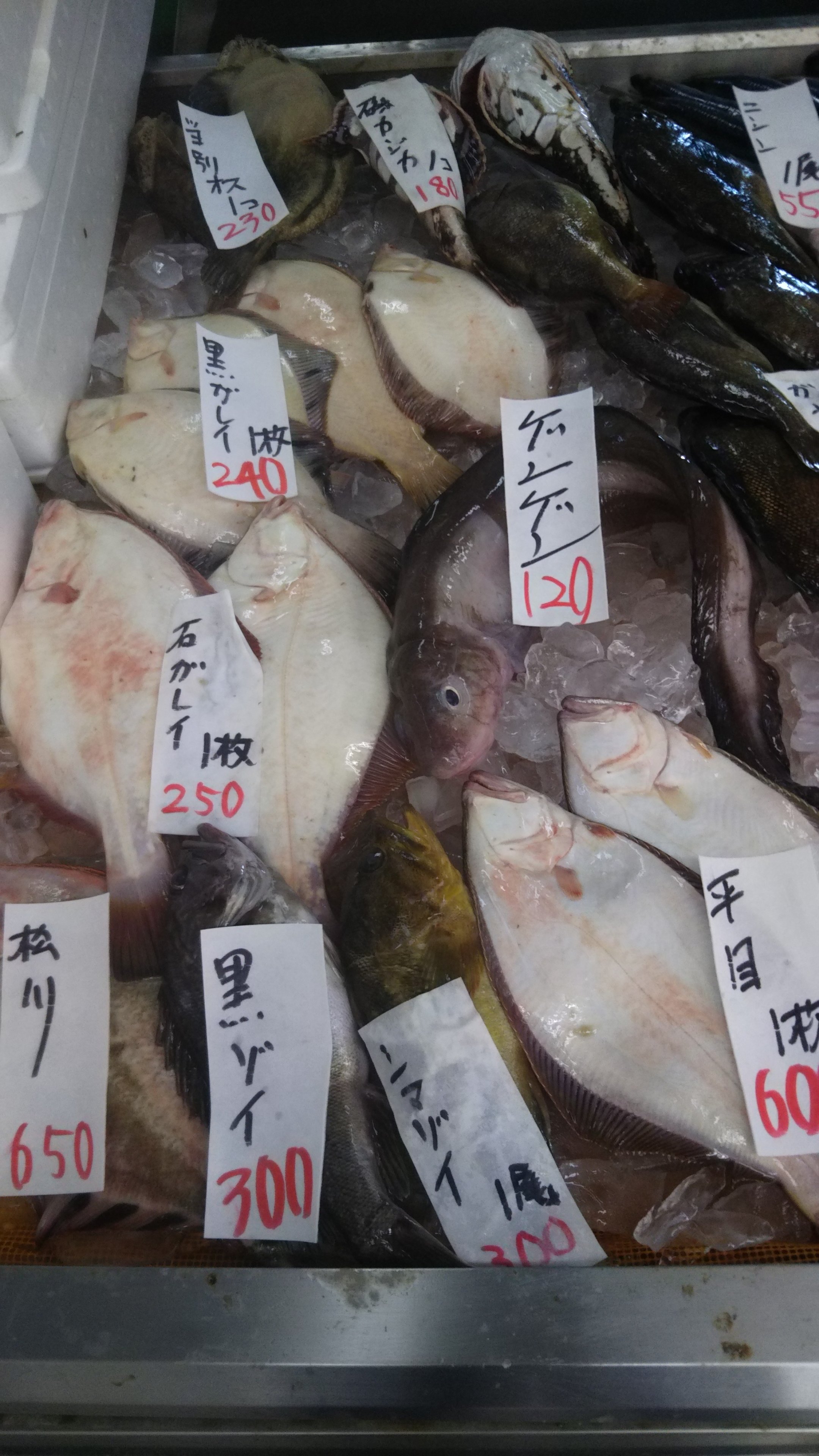 当別カジカ Twitter Search Twitter