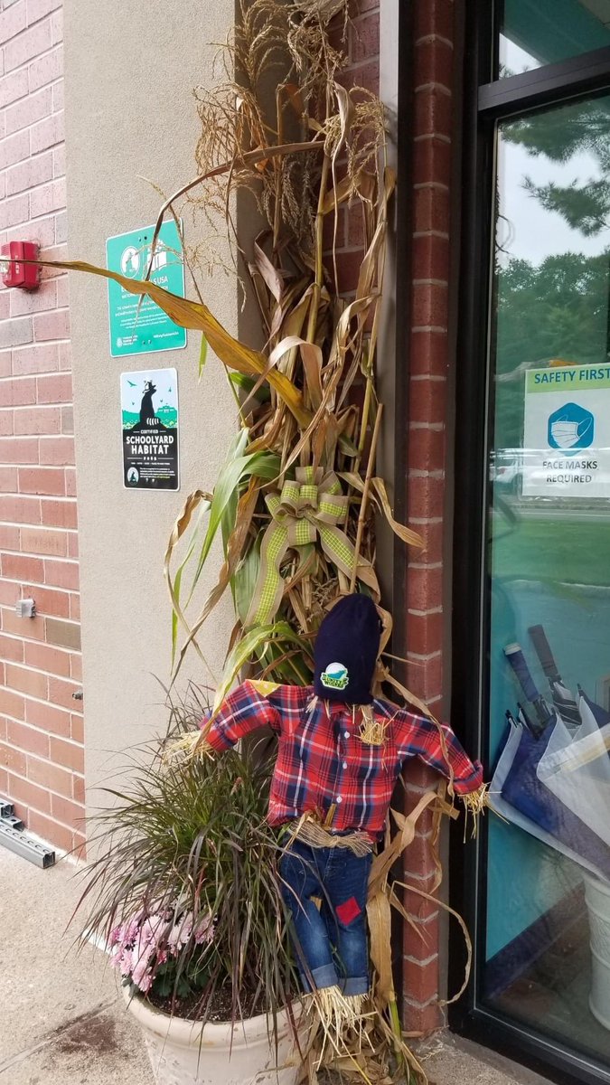 unitycharter's tweet photo. Using our corn crop "waste" to make beautiful fall displays! Thank you to our Green Team and parent volunteers for working together for these amazing displays. #unitywolves @SJ_Program @NJSBCouncil @SJ_Schools @TriCountySusta1 https://t.co/UKaulHCCOH