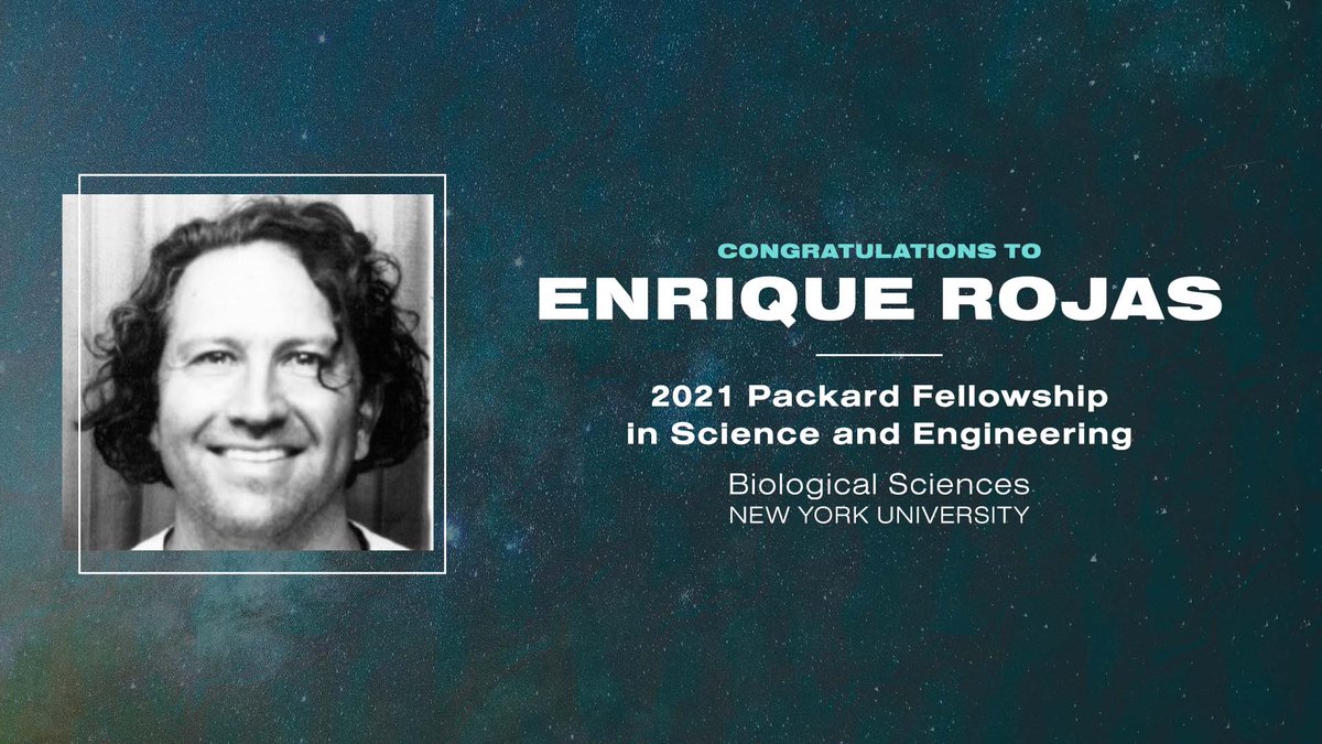 Packard Foundation (@packardfdn) on Twitter photo Enrique Rojas uses experiments, theory, and computation at <a href="/NYUniversity/">New York University</a> to understand mechanisms of microbial growth and survival. His research at <a href="/TheRojasLab/">Rojas Lab</a> is elevating the study of bacterial mechanics to a more sophisticated level. #PackardFellows  #BiologicalSciences Enrique Rojas uses experiments, theory, and computation at <a href="/NYUniversity/">New York University</a> to understand mechanisms of microbial growth and survival. His research at <a href="/TheRojasLab/">Rojas Lab</a> is elevating the study of bacterial mechanics to a more sophisticated level. #PackardFellows  #BiologicalSciences