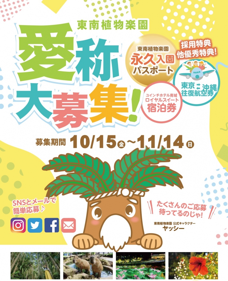 Tweets With Replies By 東南植物楽園 Seb Gardens Twitter