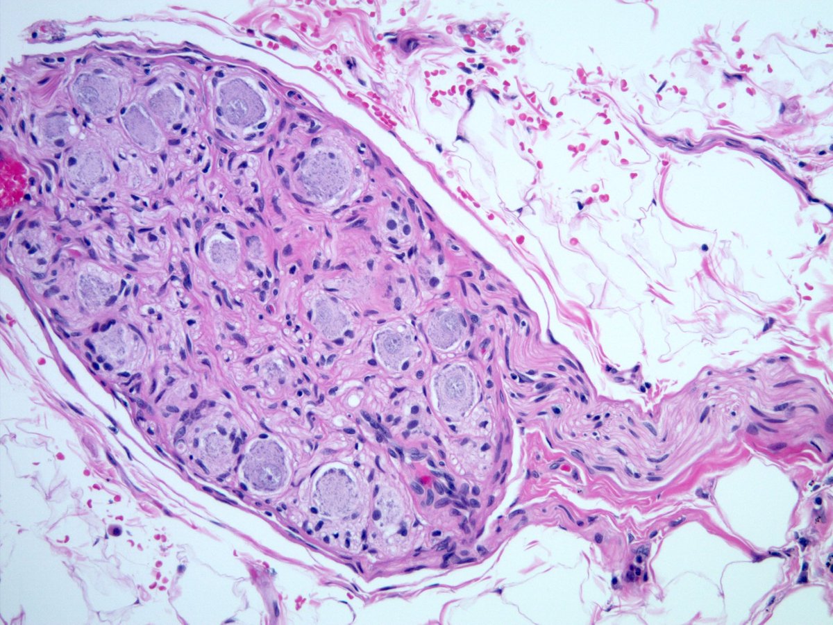 Sanjay Mukhopadhyay tweet media