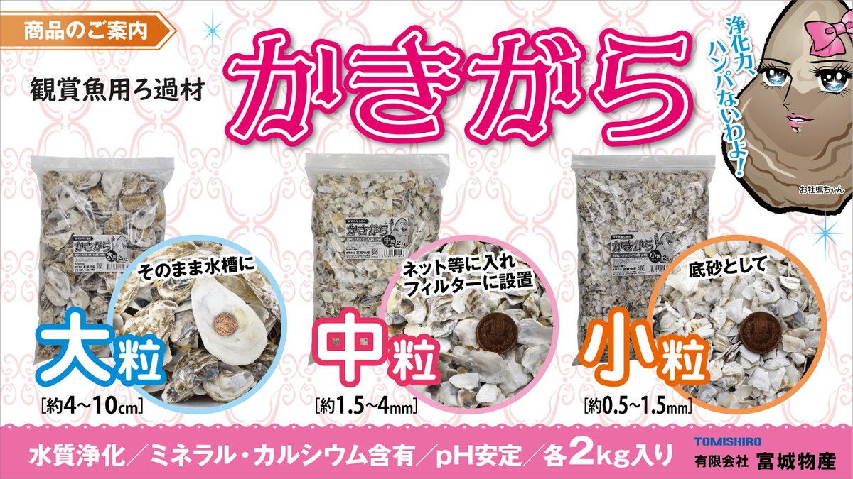 工場直送 クリーン牡蠣殻 かきがら 20殻 PSBクロレラ好相性G ienomat.com.br