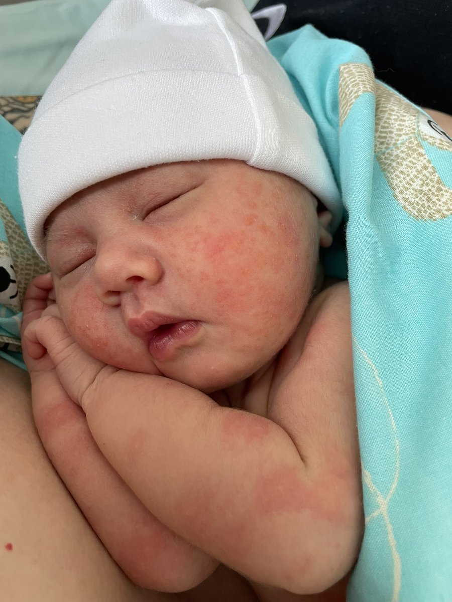 alec stn tweet media