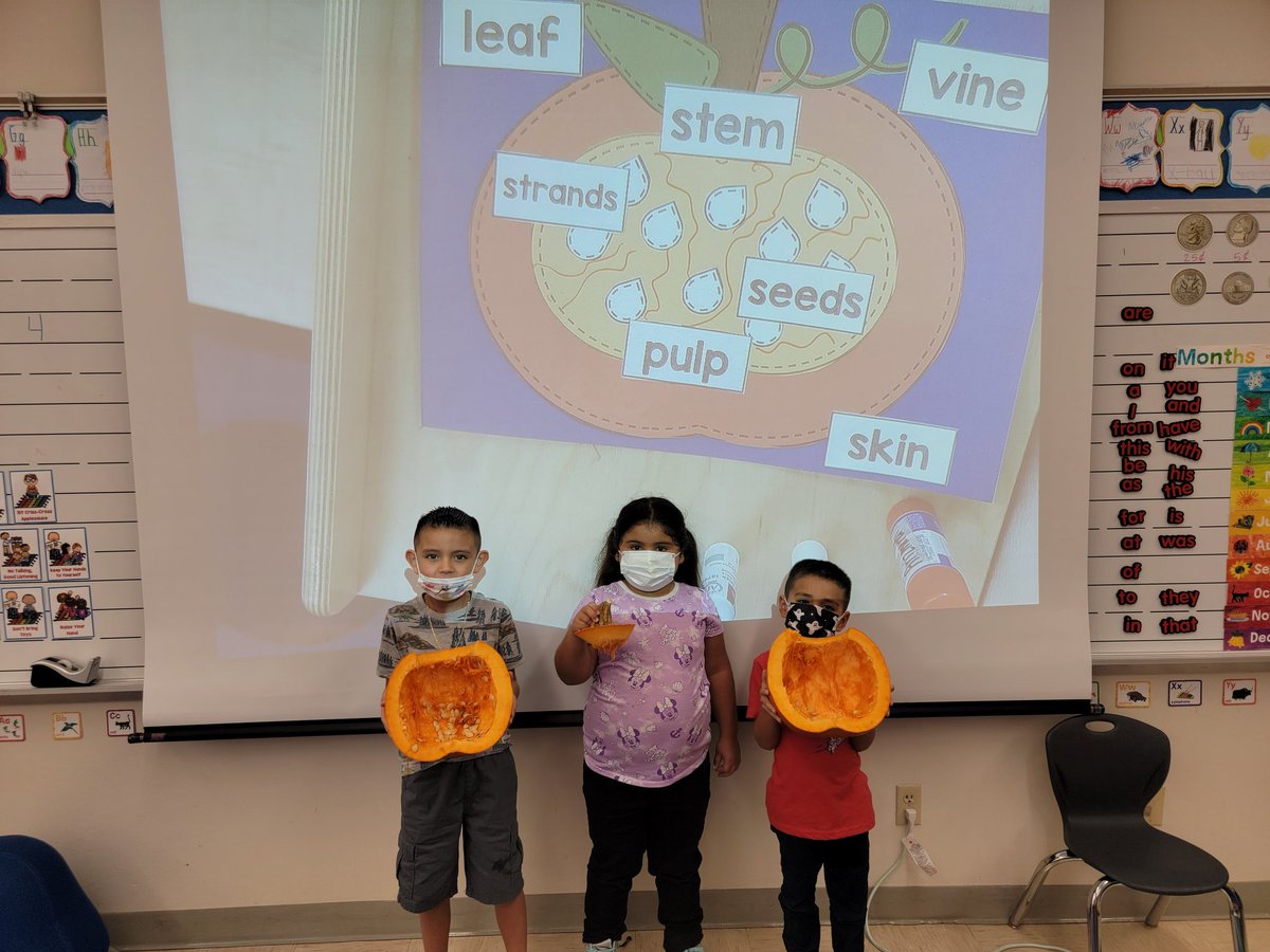 We dove into an Instructional Text about pumpkins &amp; what better way to learn about pumpkins than with a hands on activity 🤗 We then explored a real pumpkin then created our craft. #lifeinmyclassroom <a href="/LamarEagles/">Lamar Eagles</a>