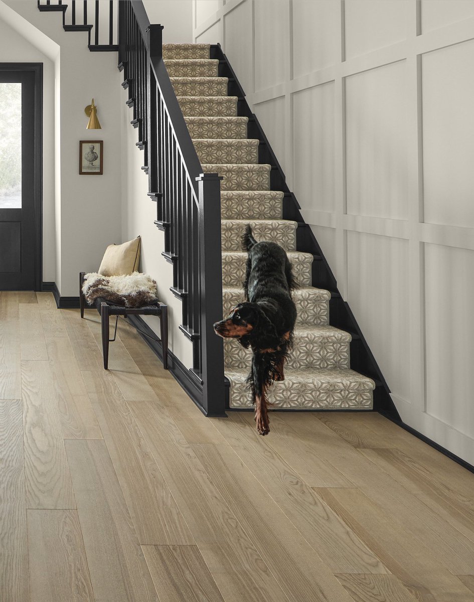 AndersonTuftex tweet media