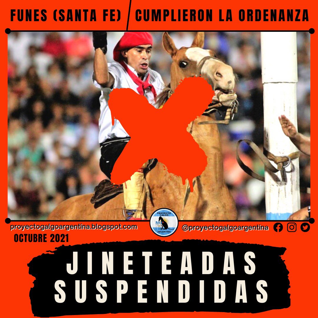Proyecto Galgo Arg 🐬Ⓥ tweet media