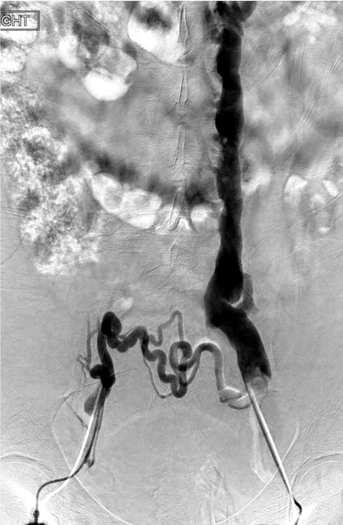 Osman Ahmed tweet media