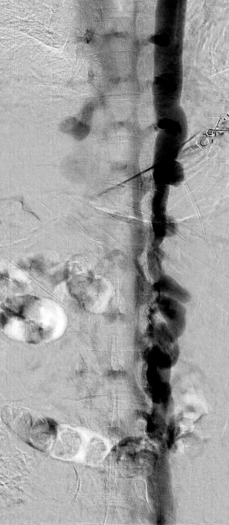 Osman Ahmed tweet media