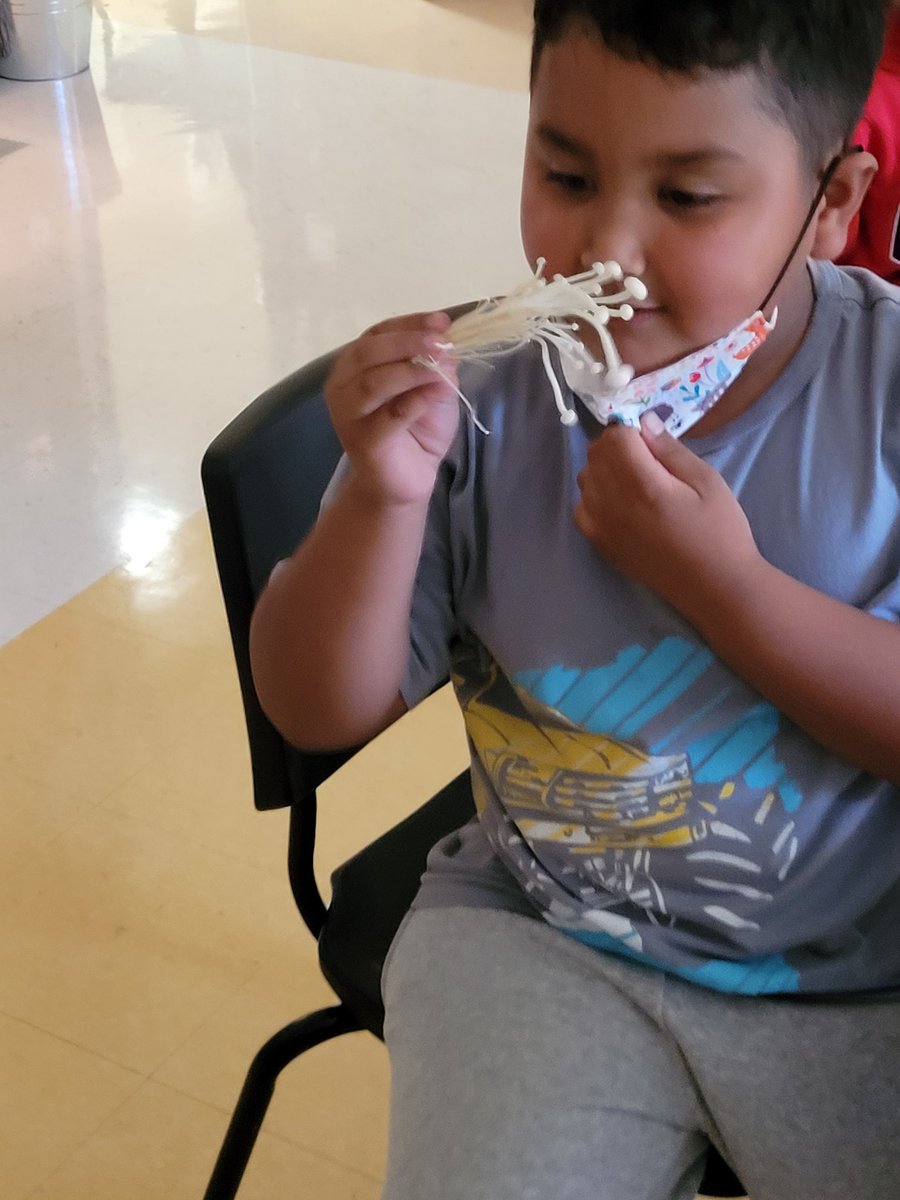 Grade 1/2 Explorers tweet media