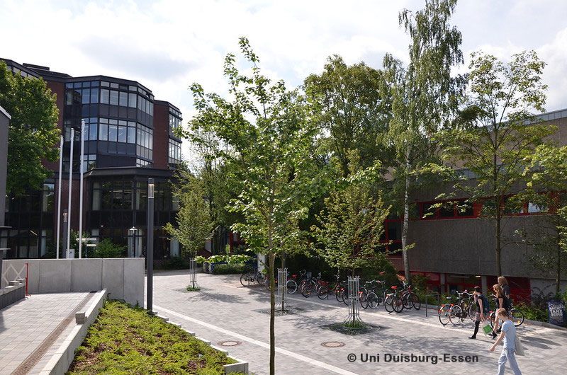ResearchGermany's tweet photo. Do your #PhD in #Science or #Engineering and look att this position offered by @unidue 👉 https://t.co/hHx2Q0EnFw #PhDGermany #ElectroChemistry #NanoparticleTechnology https://t.co/Xgd0aN4Vso