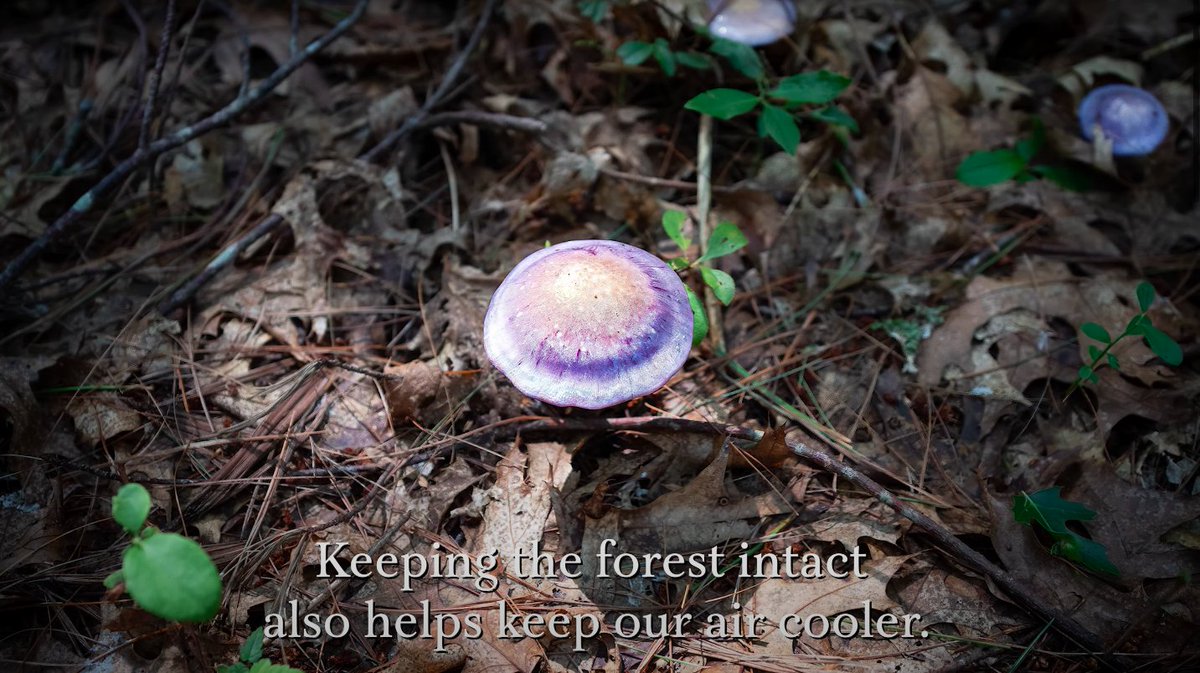 Patrick J. Lynch tweet media