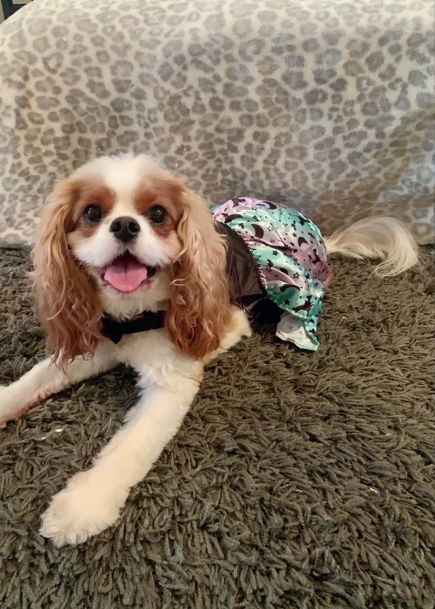 Allyson Wiggs tweet media