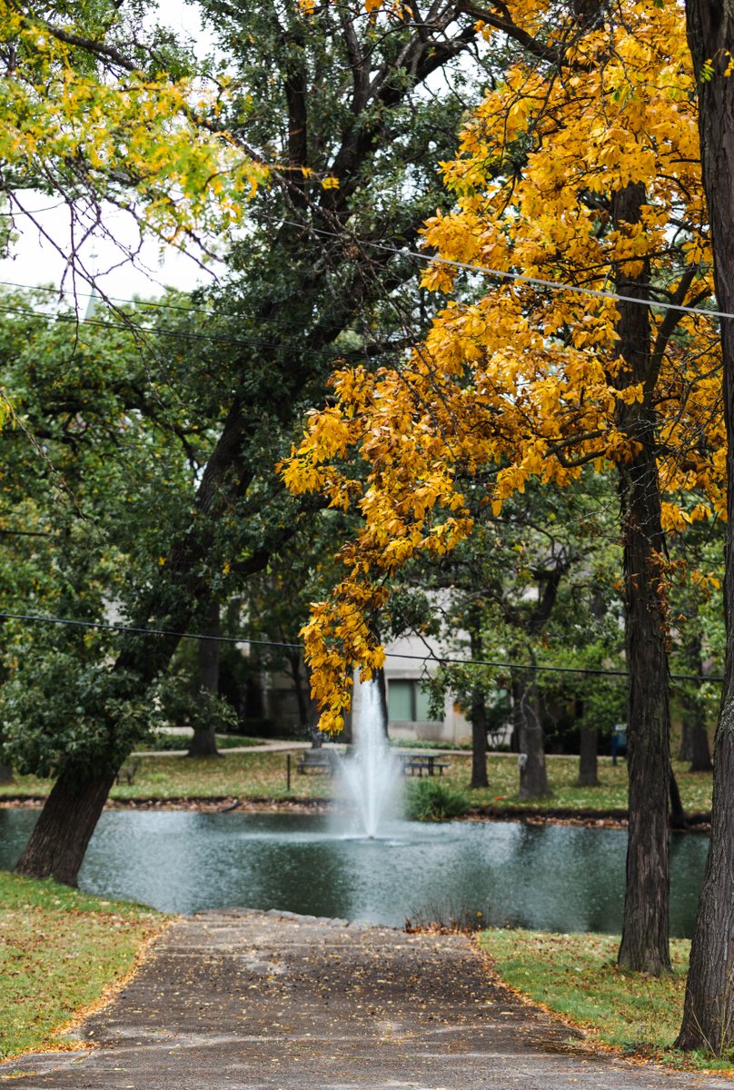 TIU's tweet photo. "Satisfy us in the morning with your unfailing love, that we may sing for joy and be glad all our days." (Psalm 90:14 NIV).

We hope you each have a restful fall break! 🍂 https://t.co/7GAl5j7Z2u