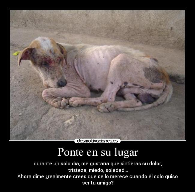 SILVIA  ROMERA (@siviaromera1) on Twitter photo 