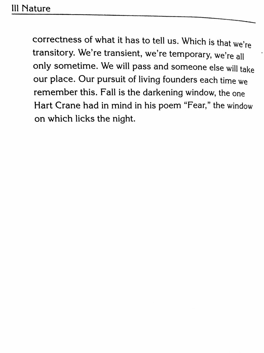 austinkleon's tweet photo. Joy Williams on fall

(from ILL NATURE)

https://t.co/IJBRgFLSV1 https://t.co/1y9ouKwEuW