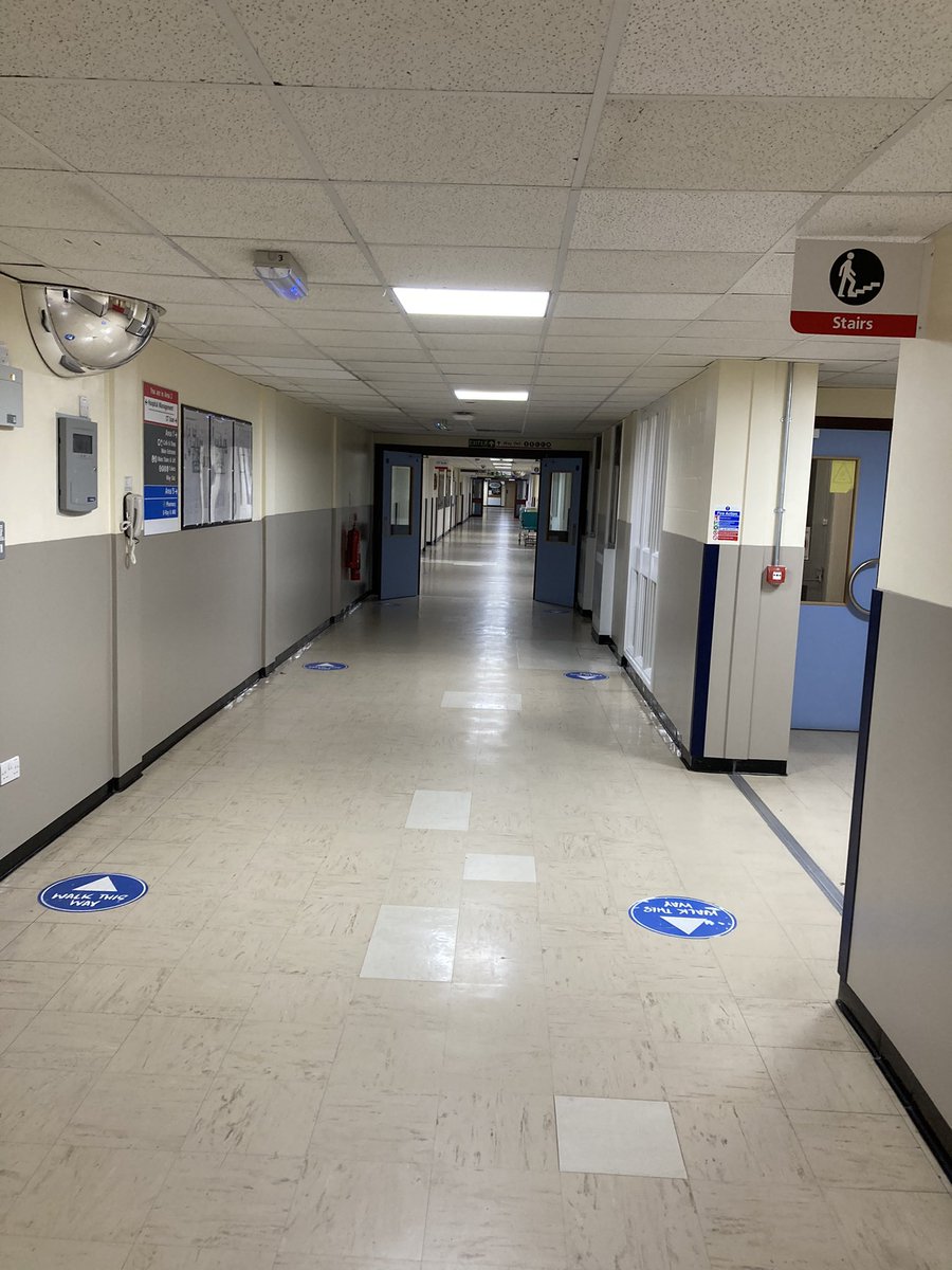 Alice Webster tweet media