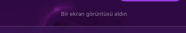 Gizlilik denen bişey kalmamış