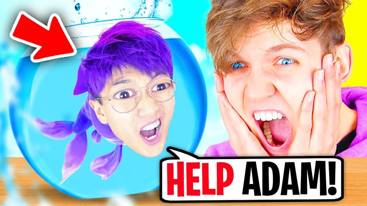 Charles Webb tweet media