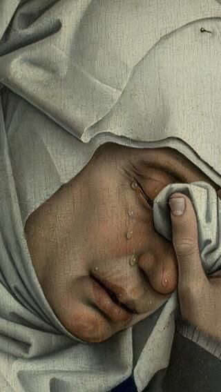 Io quando sento parlare #giorgiameloni #patanegra