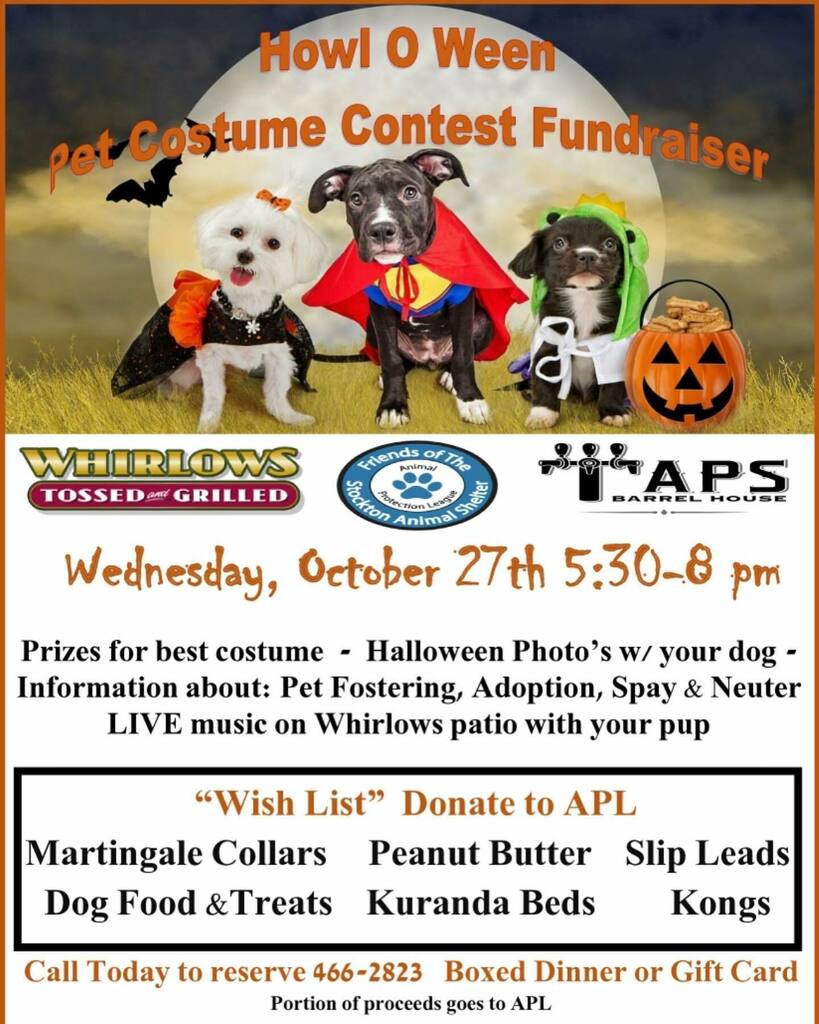 whirlows's tweet photo. Mark your calendars for Wednesday, October 27th. Bring your furry friends out for a great night supporting @animalprotectionleagueof209 

Call to let us know which dinner option you’d like…boxed dinner or gift card. 

#dog #halloween #costume #dogs #… https://t.co/KzN5SsgtAH https://t.co/5rV0wQEpca