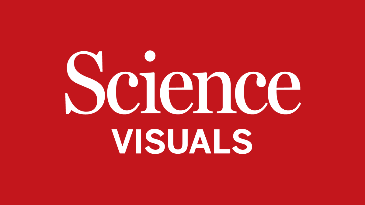 Science is hiring! If you are a graphics editor who can't wait to manage and mentor award-winning scientific illustrators and data visualizers, this is for you: bit.ly/ScienceGME