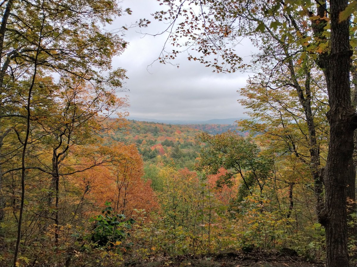 Dandeliondirtrd's tweet photo. .@AmandaWeather @HaleyBouleyWX @DylanDeBruynWX @VTStateParks Mansfield Vista from Niquette Bay State Park. It's socked in, so you can't really see Mt Mansfield, but this is the opposite side from the Island view. #Colchester #Vermont #leafies 🍁🍁🍁 https://t.co/OHkUcSG3tP