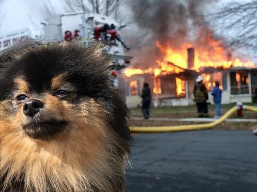 abnormalarden's tweet image. Your girl got an apartment