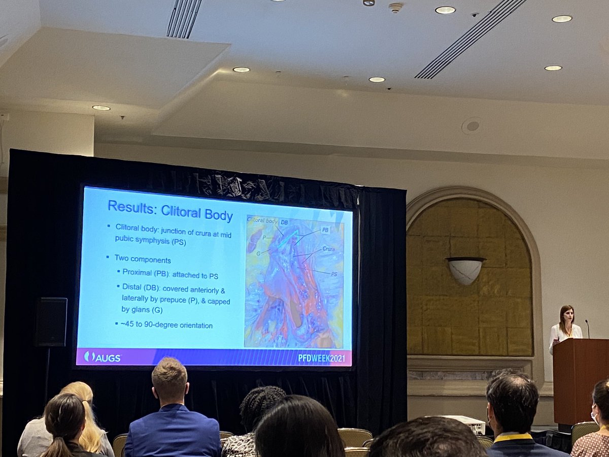 ChristyHicksAPP's tweet photo. Great presentation on clitoral anatomy!  Thank you Dr. Tappy!  #PFDWeek21 https://t.co/kzxBYuLyfy