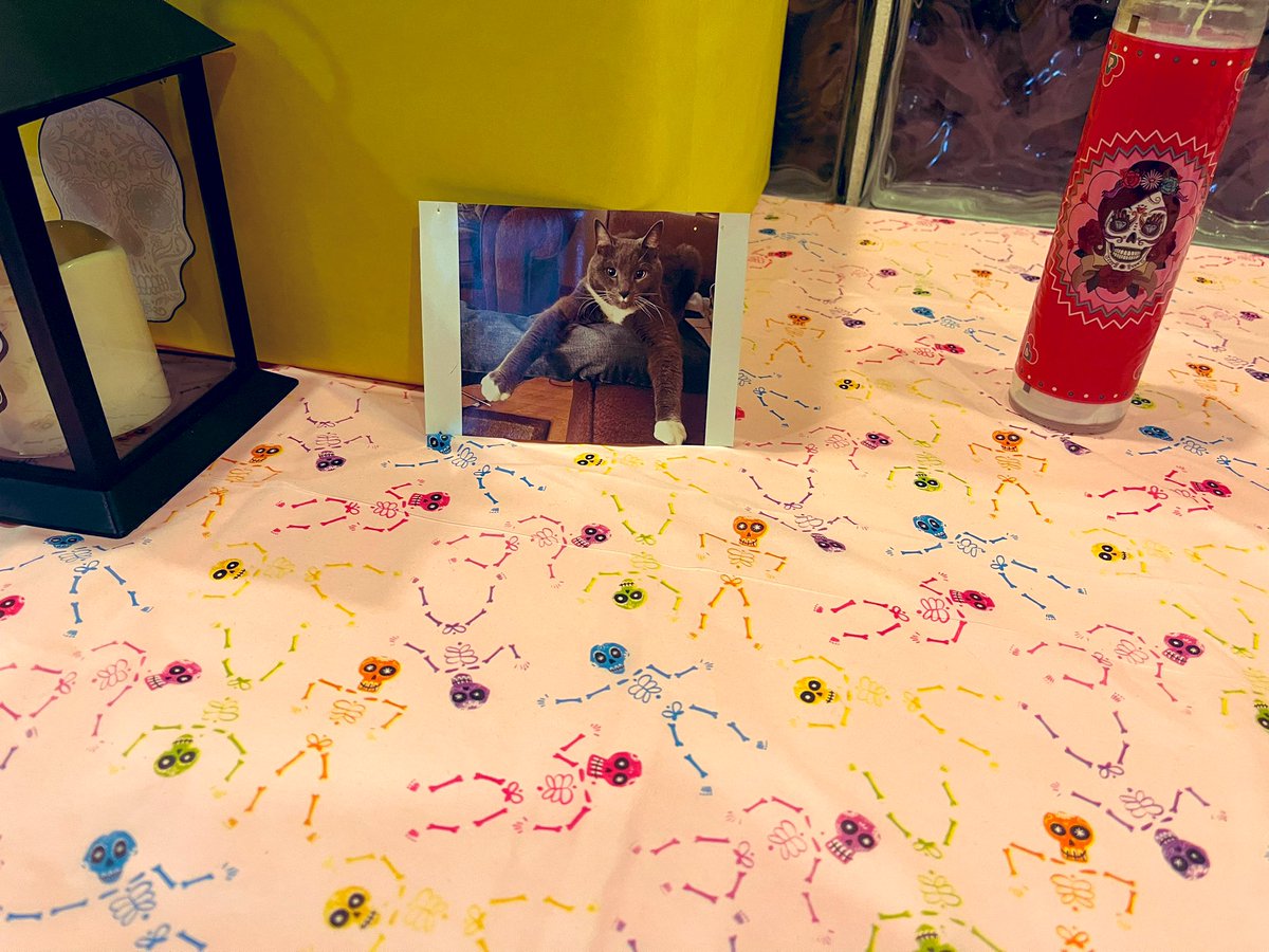Polk’s Dia de los Muertos display. I added a picture of my precious cat, Smokey, who passed on 12/23/20 💔   RIP 2004-2020.