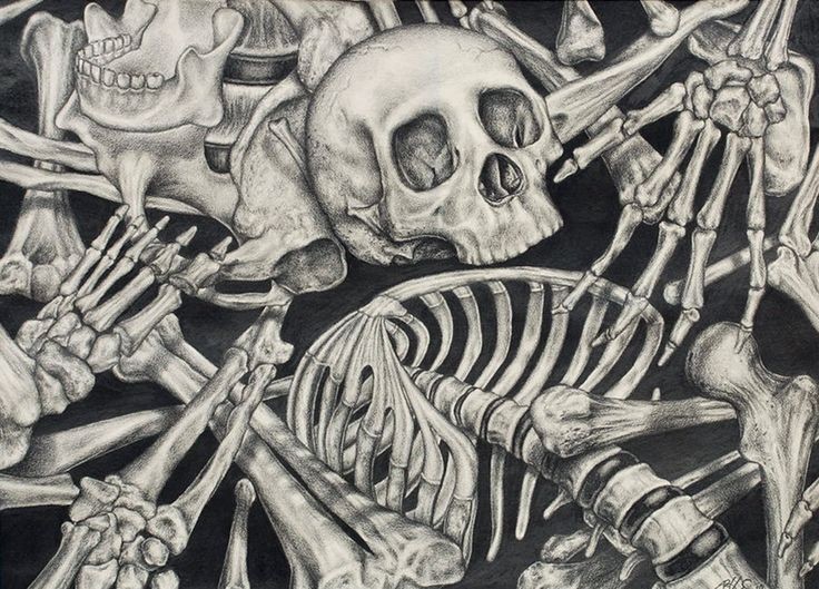 #skeletons. #skulls. pic.twitter.com/WtVts7QgYG. 