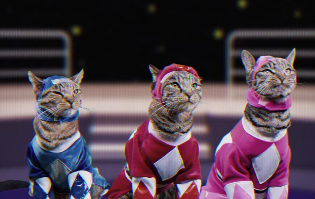 For far too long, the mutants have infested the lands of the metaverse. Worry not citizen, the MekaCats have arrived to save the day!

(Stealth drop imminent)
