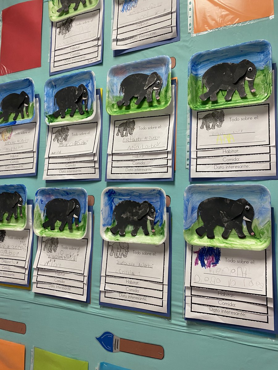 What’s happening in Kindergarten? Look at the hard work on these unit projects! <a href="/MESeagles/">Melaleuca Elementary</a> <a href="/jennsandersusa/">Dr. Jennifer Sanders</a> <a href="/DeborahMaupin/">Dr. Maupin</a>